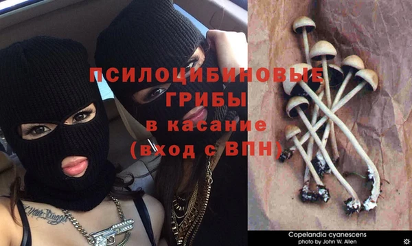 Альфа ПВП Козловка