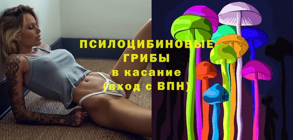 Альфа ПВП Козловка
