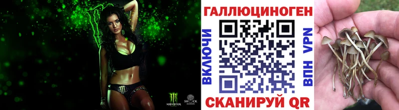 Купить  Шелехов  Псилоцибиновые грибы мухоморы 